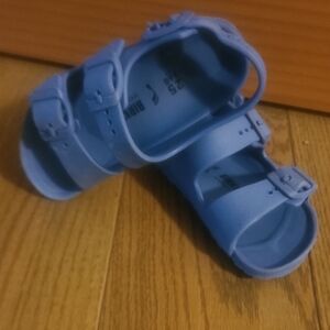 Birkenstock Blue Sandals with Adjustable Straps